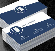 Uchylone drzwi, Budownictwo, Okna i Drzwi - Wizytówki Netprint