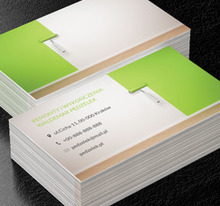 Zielona ściana, Budownictwo, Remont i Wykończenia - Wizytówki Netprint