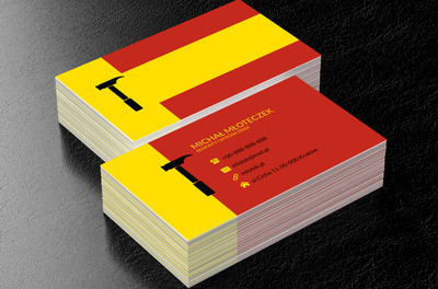 Czarny młotek, Budownictwo, Remont i Wykończenia - Wizytówki Netprint