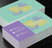 Kolorowe mazie farbą, Budownictwo, Usługi malarskie - Wizytówki Netprint