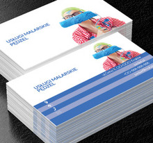 Malarz z wałkiem, Budownictwo, Usługi malarskie - Wizytówki Netprint