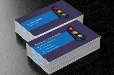 Kolorowy sygnalizator, Motoryzacja, Nauka jazdy - Wizytówki Netprint