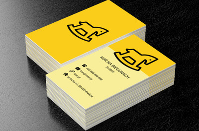 Konik na biegunach, Edukacja, Żłobek - Wizytówki Netprint