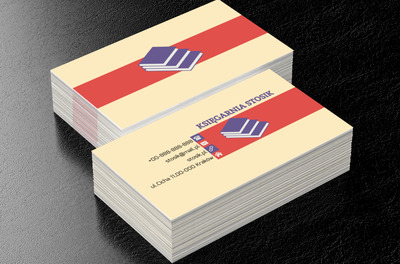 Fioletowe książki, Edukacja, Księgarnia - Wizytówki Netprint