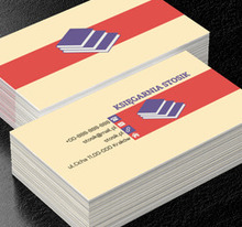 Fioletowe książki, Edukacja, Księgarnia - Wizytówki Netprint