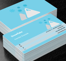 Lodowy krajobraz, Motywy, Krajobraz - Wizytówki Netprint