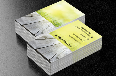 Pęknięta deska, Motywy, Krajobraz - Wizytówki Netprint