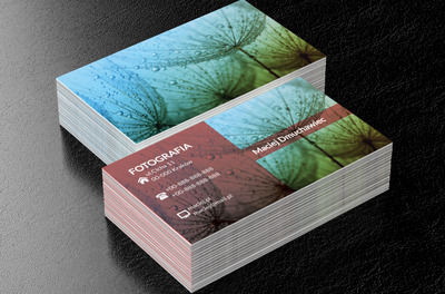 Deszczowe dmuchawce, Motywy, Roślinne - Wizytówki Netprint