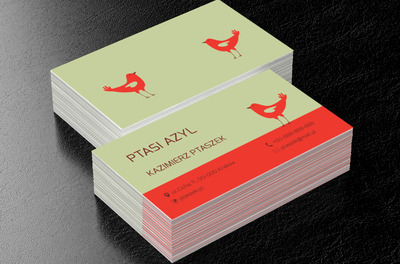 Czerwone ptaki, Motywy, Zwierzęta - Wizytówki Netprint