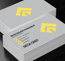 Dom w kwadracie, Nieruchomość, Biuro nieruchomości - Wizytówki Netprint