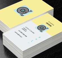 Adapter muzyczny, Rozrywka, DJ - Wizytówki Netprint