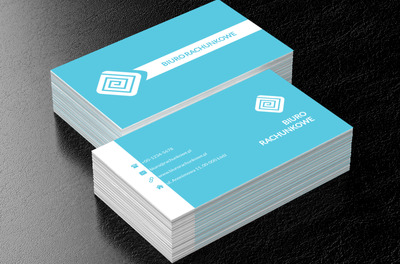 Biały ślimak, Finanse i ubezpieczenia, Biuro rachunkowe - Wizytówki Netprint