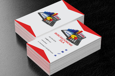 Kolorowe wykresy, Finanse i ubezpieczenia, Biuro rachunkowe - Wizytówki Netprint