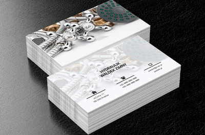 Bateria prysznicowa, Usługi domowe, Hydraulik - Wizytówki Netprint