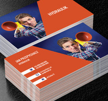 Szalony hydraulik, Usługi domowe, Hydraulik - Wizytówki Netprint