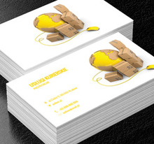 Świat z kartonu, Transport, Usługi kurierskie - Wizytówki Netprint