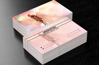 Złoty mikrofon, Rozrywka, Zespół muzyczny - Wizytówki Netprint