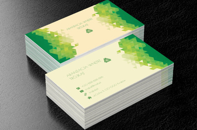 Zielone trójkąty, Budownictwo, Aranżacja wnętrz - Wizytówki Netprint