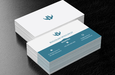 Niebieskie dłonie, Finanse i ubezpieczenia, Pośrednik ubezpieczeniowy - Wizytówki Netprint