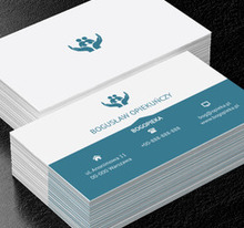 Niebieskie dłonie, Finanse i ubezpieczenia, Pośrednik ubezpieczeniowy - Wizytówki Netprint