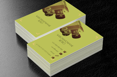 Kamera na zielonym tle, Fotografia, Wideofilmowanie - Wizytówki Netprint