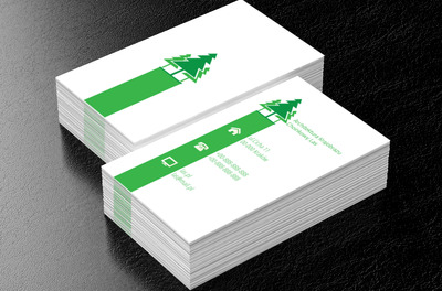 Trzy choinki, Środowisko i Przyroda, Architektura krajobrazu - Wizytówki Netprint