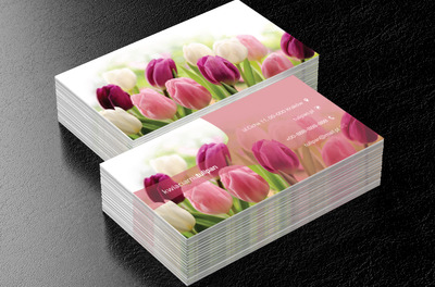 Pola tulipanów, Środowisko i Przyroda, Kwiaciarnia - Wizytówki Netprint