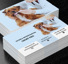 Pies u weterynarza, Środowisko i Przyroda, Lecznica weterynaryjna - Wizytówki Netprint