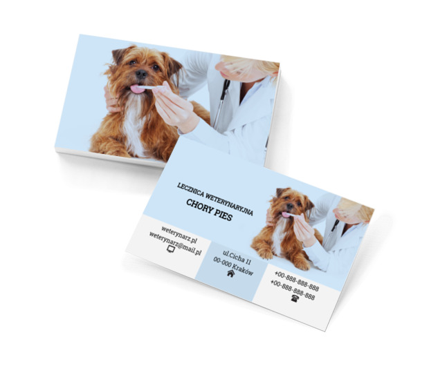 Pies u weterynarza, Środowisko i Przyroda, Lecznica weterynaryjna - Wizytówki Netprint szablony online