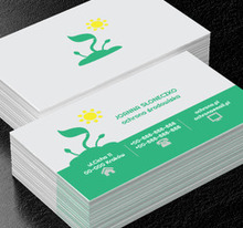 Kiełkująca roślina, Środowisko i Przyroda, Ochrona Środowiska - Wizytówki Netprint