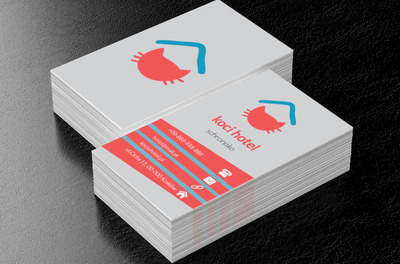 Czerwony kot, Środowisko i Przyroda, Schronisko - Wizytówki Netprint