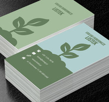 Wyrastający krzak, Środowisko i Przyroda, Usługi ogrodnicze - Wizytówki Netprint