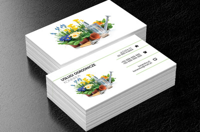 Kolorowe kwiaty, Środowisko i Przyroda, Usługi ogrodnicze - Wizytówki Netprint