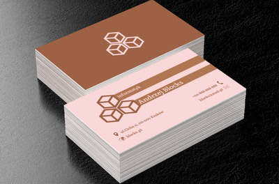 Trzy klocki, Telekomunikacja i Internet, Informatyk - Wizytówki Netprint