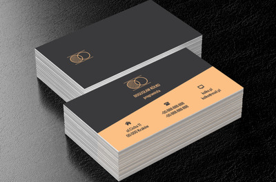 Dwa kólka, Telekomunikacja i Internet, Programista - Wizytówki Netprint