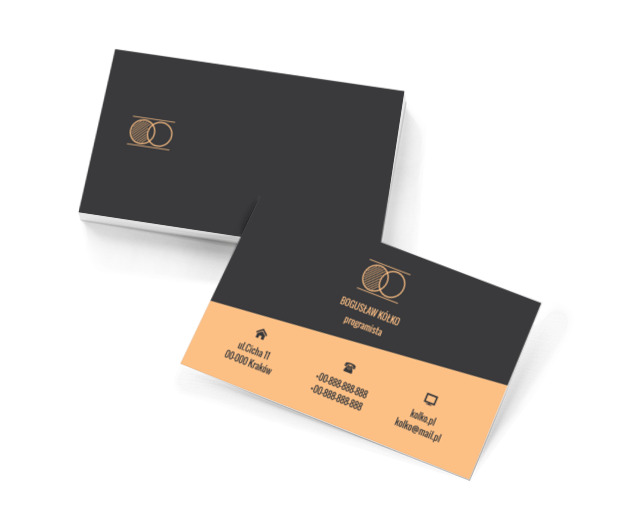 Dwa kólka, Telekomunikacja i Internet, Programista - Wizytówki Netprint szablony online