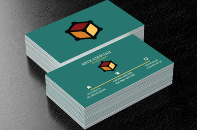 Kolorowy sześcian, Telekomunikacja i Internet, Programista - Wizytówki Netprint