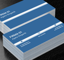 Pasek przez środek, Motywy, Uniwersalne - Wizytówki Netprint