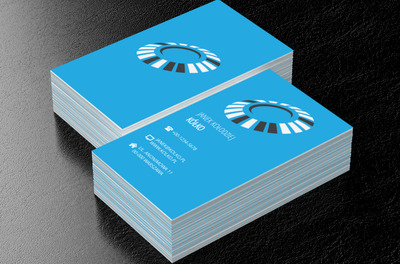 Jasnoniebieskie tło, Motywy, Uniwersalne - Wizytówki Netprint