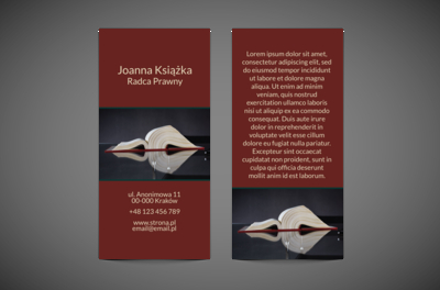 Kilka kroków do prawnego zwycięstwa, Prawo, Radca Prawny - Ulotki Netprint