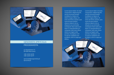 Pogromca stanu rzeczy, Telekomunikacja i Internet, Programista - Ulotki Netprint