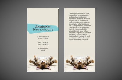 Kocie swawole – w to mi graj!, Motywy, Zwierzęta - Ulotki Netprint