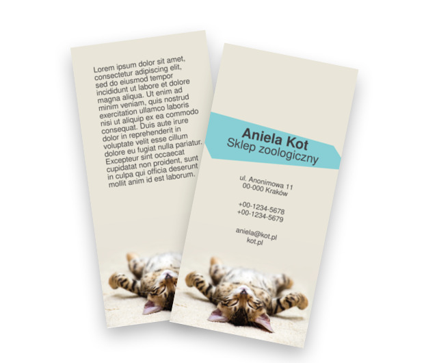 Kocie swawole – w to mi graj!, Motywy, Zwierzęta - Ulotki Netprint szablony online