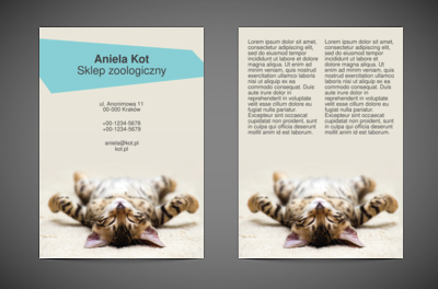 Marzenia kociego towarzysza, Motywy, Zwierzęta - Ulotki Netprint