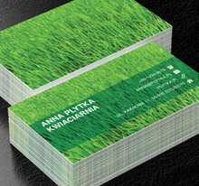 Zielona trawa, Motywy, Roślinne - Wizytówki Netprint