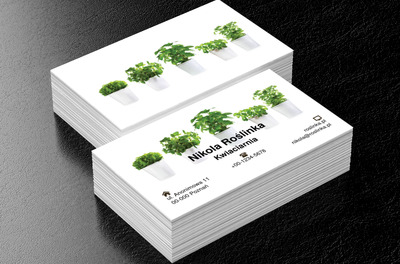 Doniczki na białym tle, Motywy, Roślinne - Wizytówki Netprint