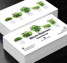 Doniczki na białym tle, Motywy, Roślinne - Wizytówki Netprint