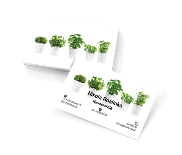 Doniczki na białym tle, Motywy, Roślinne - Wizytówki Netprint szablony online