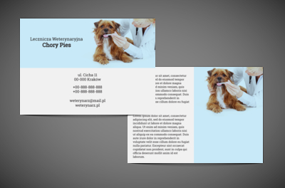 Pomoc w natarciu – podaj łapkę, Środowisko i Przyroda, Lecznica weterynaryjna - Ulotki Netprint