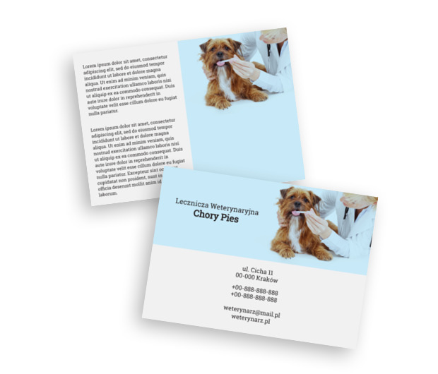 Pomoc w natarciu – podaj łapkę, Środowisko i Przyroda, Lecznica weterynaryjna - Ulotki Netprint szablony online